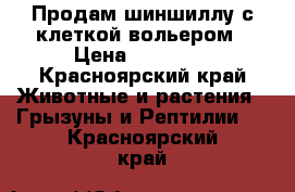 Продам шиншиллу с клеткой-вольером › Цена ­ 10 000 - Красноярский край Животные и растения » Грызуны и Рептилии   . Красноярский край